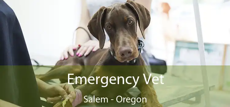 Emergency Vet Salem - Oregon