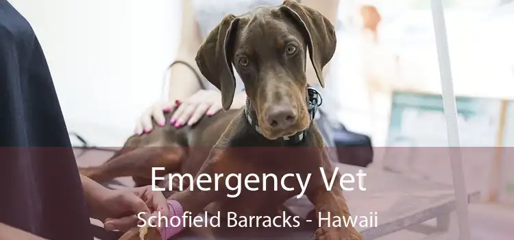 Emergency Vet Schofield Barracks - Hawaii
