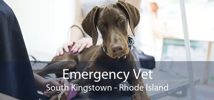 Emergency Vet South Kingstown - Rhode Island