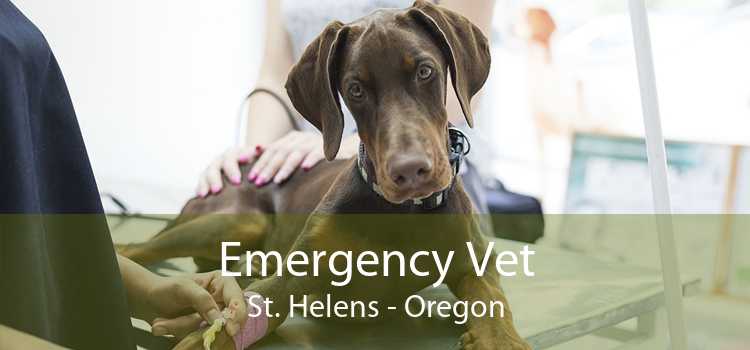 Emergency Vet St. Helens - Oregon