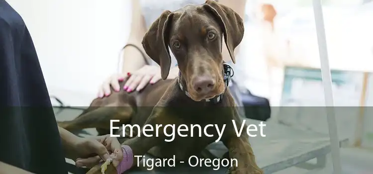 Emergency Vet Tigard - Oregon