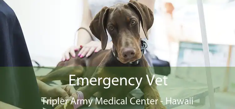 Emergency Vet Tripler Army Medical Center - Hawaii