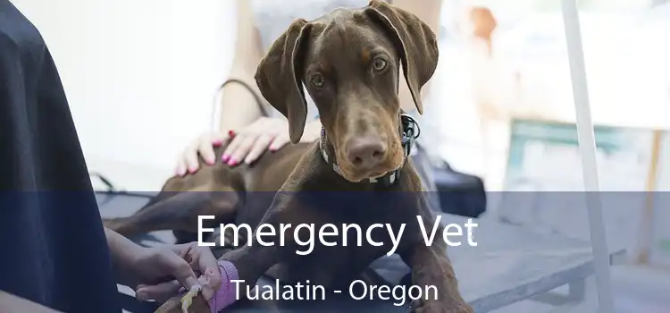 Emergency Vet Tualatin - Oregon