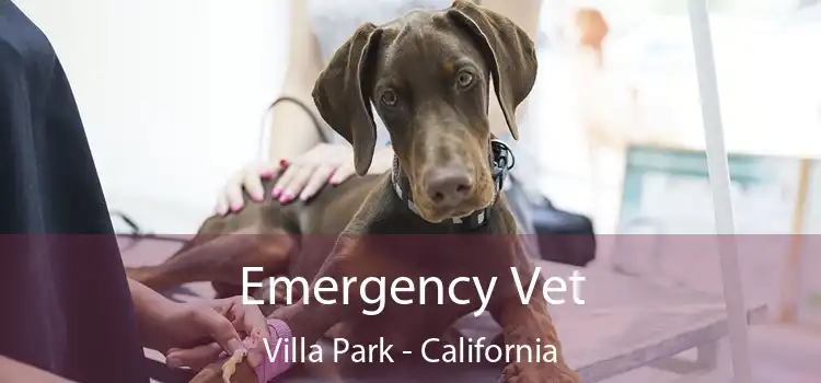 Emergency Vet Villa Park - California