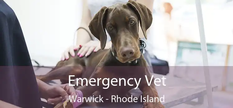 Emergency Vet Warwick - Rhode Island