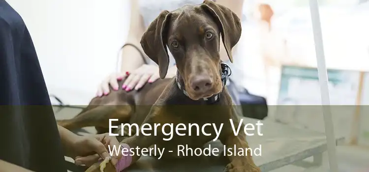 Emergency Vet Westerly - Rhode Island