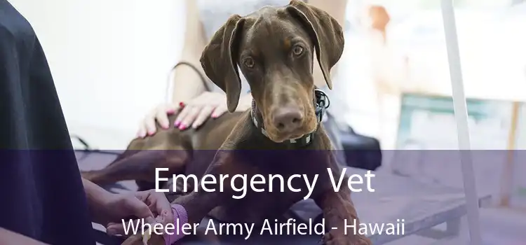 Emergency Vet Wheeler Army Airfield - Hawaii
