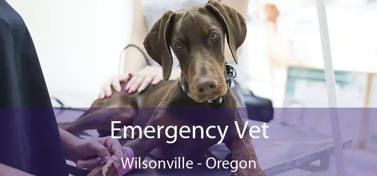 Emergency Vet Wilsonville - Oregon