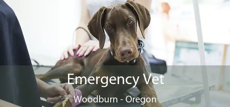 Emergency Vet Woodburn - Oregon