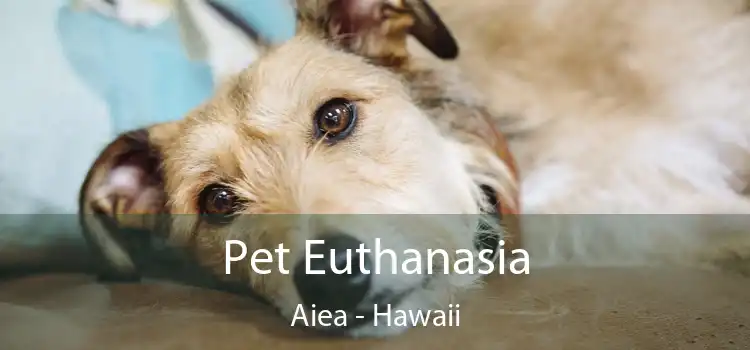 Pet Euthanasia Aiea - Hawaii