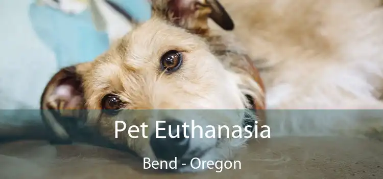 Pet Euthanasia Bend - Oregon