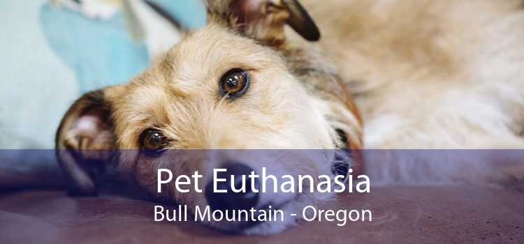 Pet Euthanasia Bull Mountain - Oregon