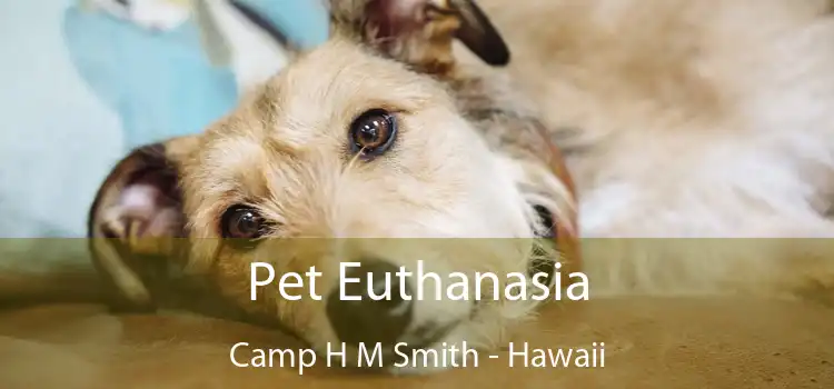 Pet Euthanasia Camp H M Smith - Hawaii
