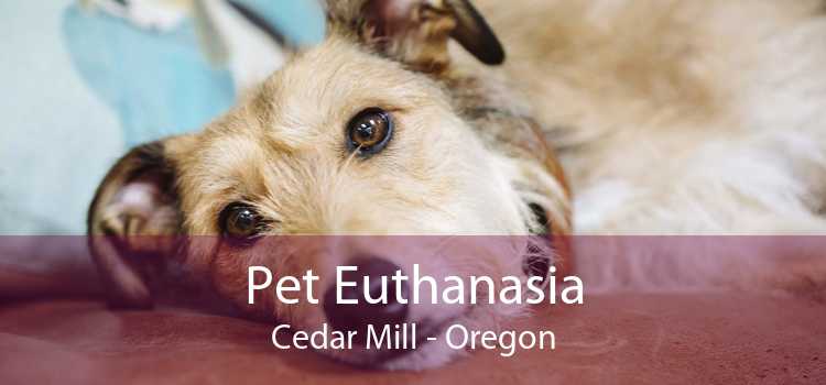 Pet Euthanasia Cedar Mill - Oregon