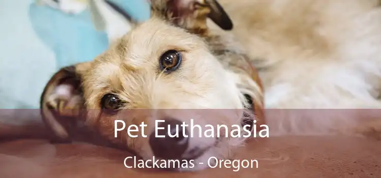 Pet Euthanasia Clackamas - Oregon