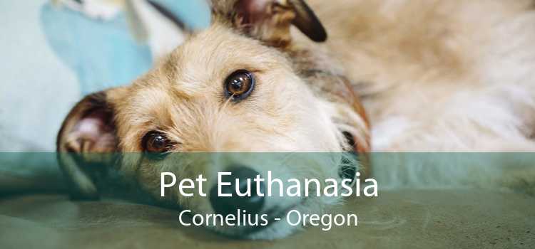 Pet Euthanasia Cornelius - Oregon