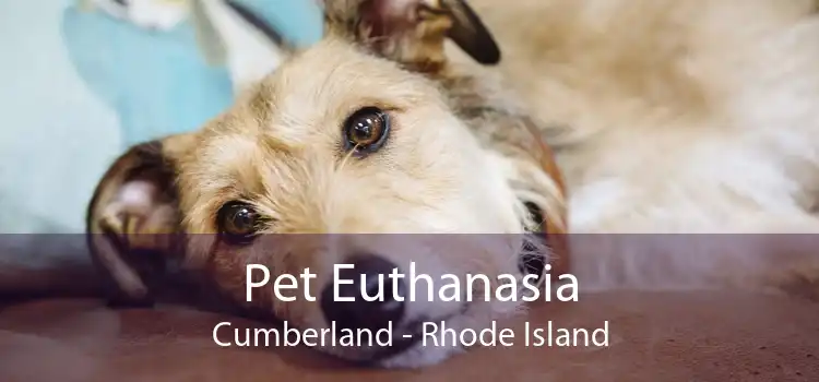 Pet Euthanasia Cumberland - Rhode Island