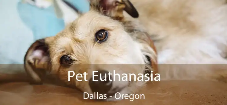 Pet Euthanasia Dallas - Oregon