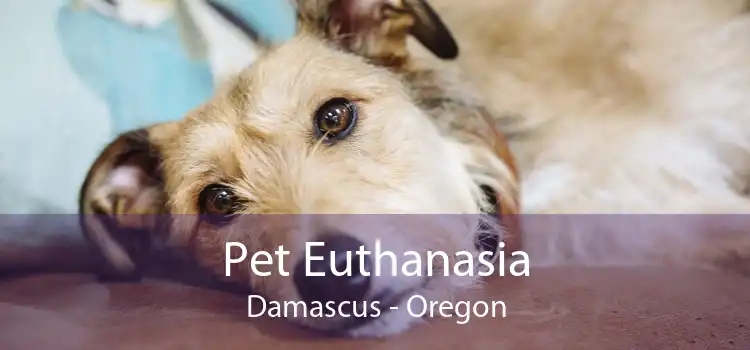 Pet Euthanasia Damascus - Oregon