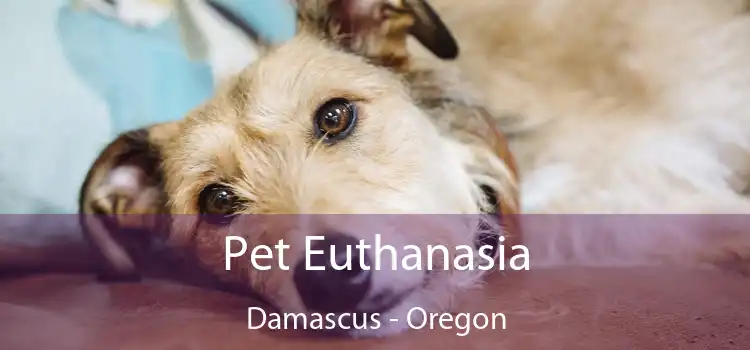 Pet Euthanasia Damascus - Oregon