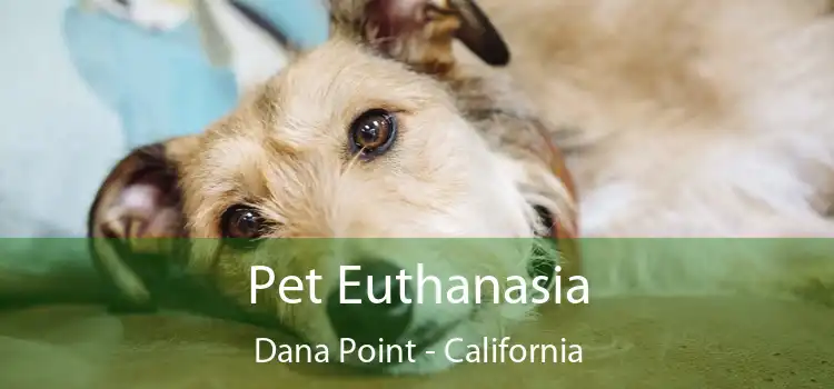 Pet Euthanasia Dana Point - California
