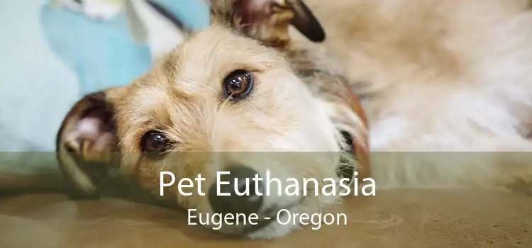 Pet Euthanasia Eugene - Oregon