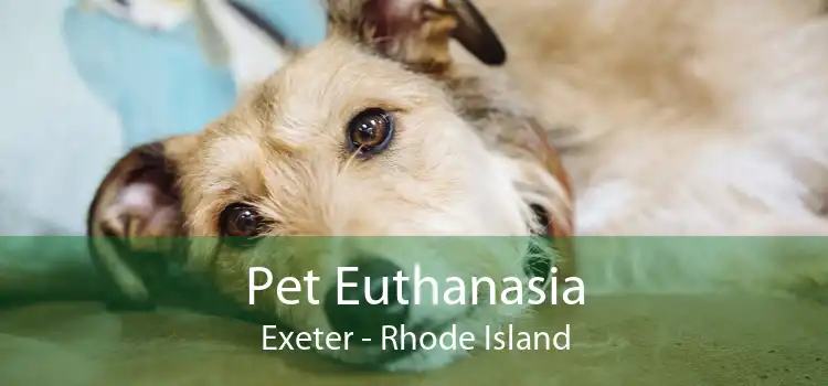 Pet Euthanasia Exeter - Rhode Island