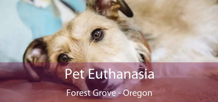 Pet Euthanasia Forest Grove - Oregon