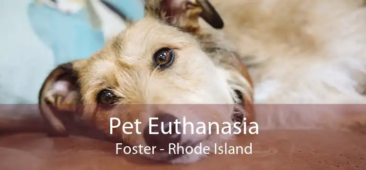 Pet Euthanasia Foster - Rhode Island