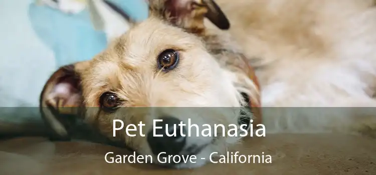 Pet Euthanasia Garden Grove - California