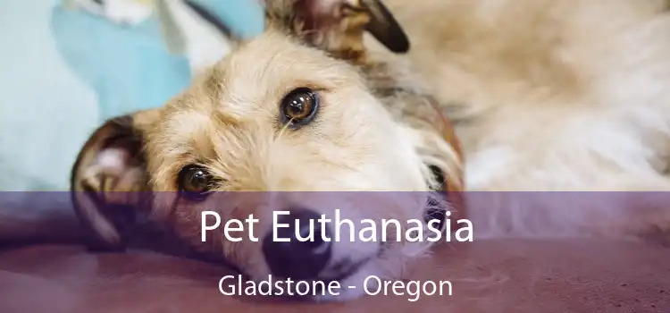 Pet Euthanasia Gladstone - Oregon