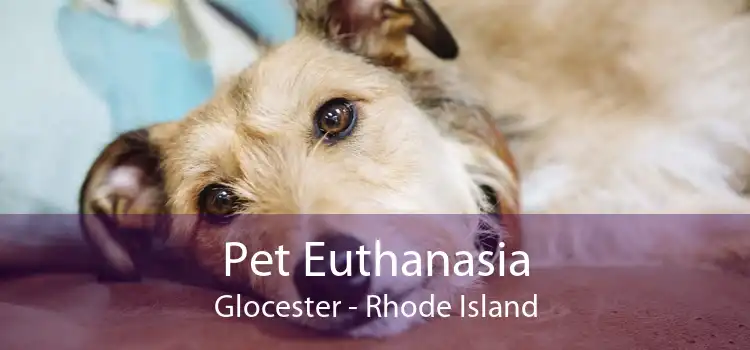 Pet Euthanasia Glocester - Rhode Island