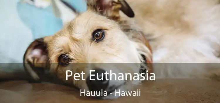 Pet Euthanasia Hauula - Hawaii