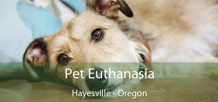 Pet Euthanasia Hayesville - Oregon