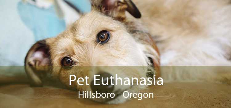 Pet Euthanasia Hillsboro - Oregon