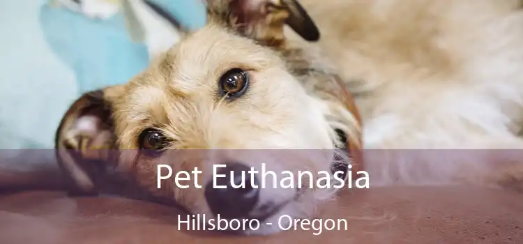 Pet Euthanasia Hillsboro - Oregon