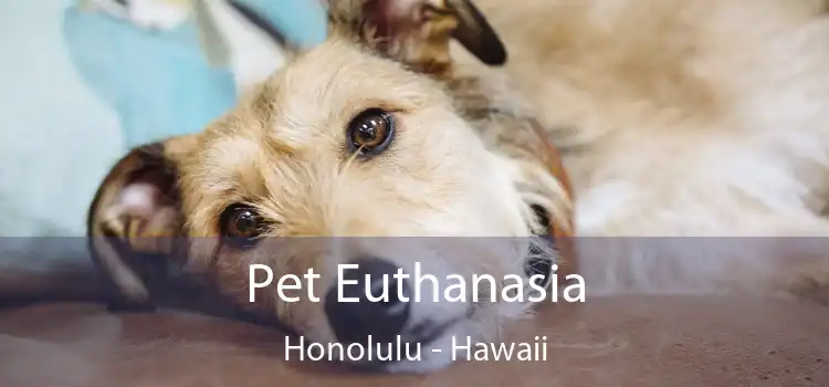 Pet Euthanasia Honolulu - Hawaii