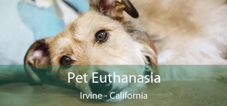 Pet Euthanasia Irvine - California