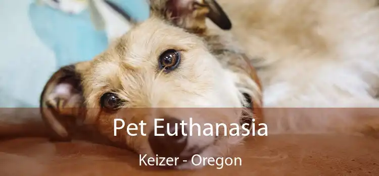 Pet Euthanasia Keizer - Oregon