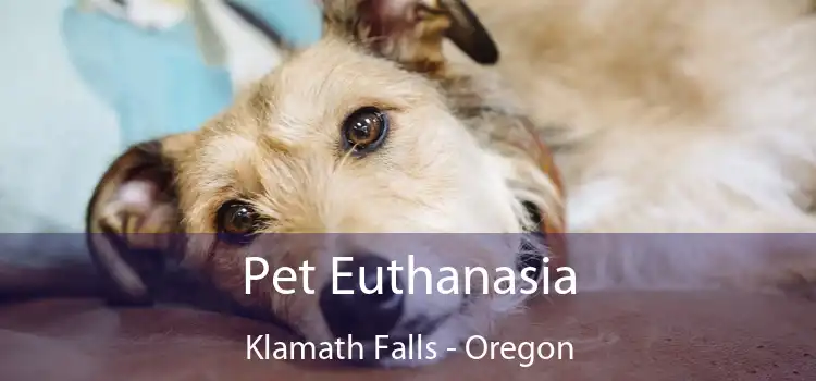 Pet Euthanasia Klamath Falls - Oregon