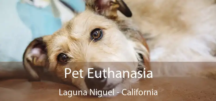 Pet Euthanasia Laguna Niguel - California