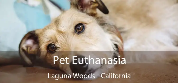 Pet Euthanasia Laguna Woods - California