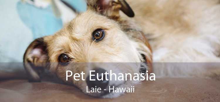 Pet Euthanasia Laie - Hawaii