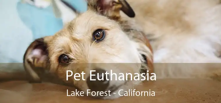 Pet Euthanasia Lake Forest - California