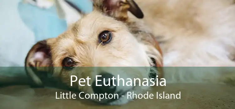 Pet Euthanasia Little Compton - Rhode Island