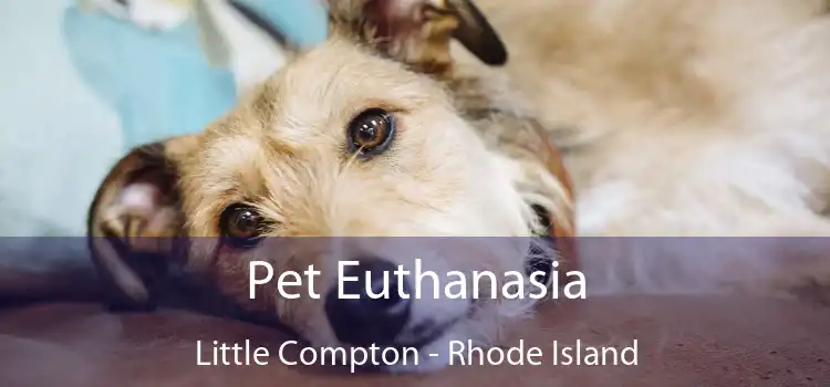 Pet Euthanasia Little Compton - Rhode Island