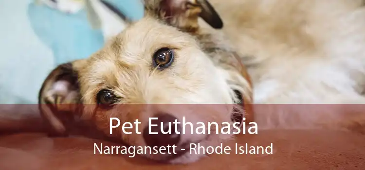 Pet Euthanasia Narragansett - Rhode Island