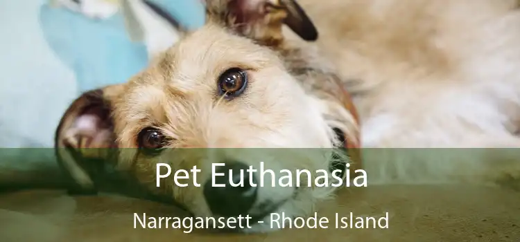 Pet Euthanasia Narragansett - Rhode Island