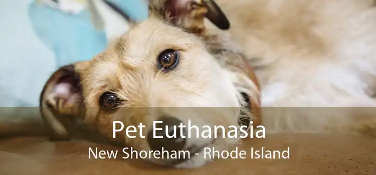 Pet Euthanasia New Shoreham - Rhode Island