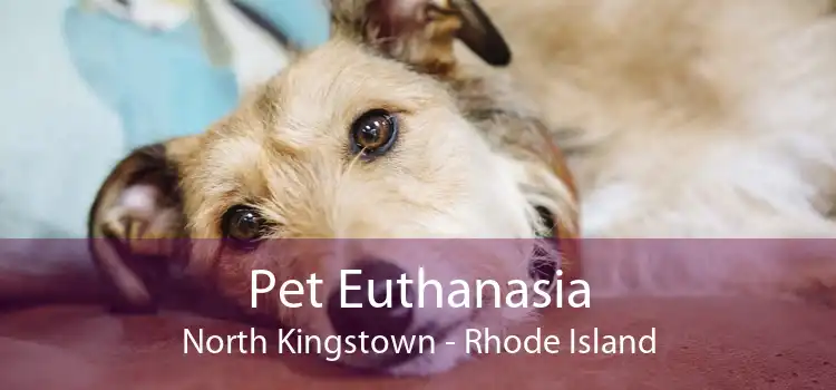 Pet Euthanasia North Kingstown - Rhode Island
